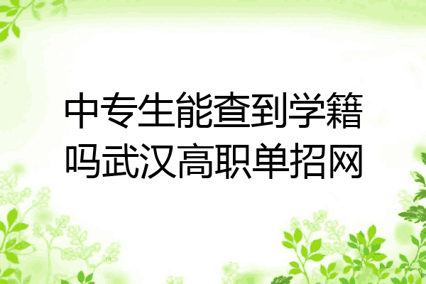 中专生能查到学籍吗武汉高职单招网