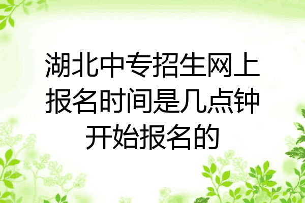 湖北中专招生网上报名时间是几点钟开始报名的