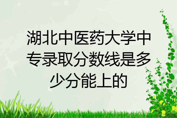 湖北中医药大学中专录取分数线是多少分能上的