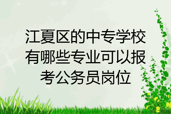 江夏区的中专学校有哪些专业可以报考公务员岗位