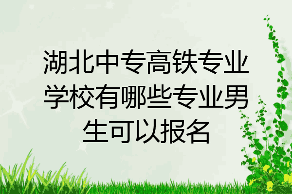 湖北中专高铁专业学校有哪些专业男生可以报名