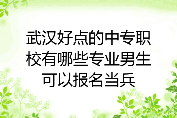 武汉好点的中专职校有哪些专业男生可以报名当兵