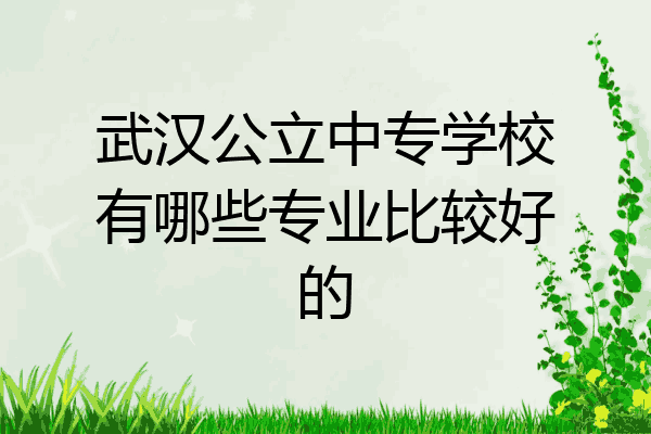 武汉公立中专学校有哪些专业比较好的