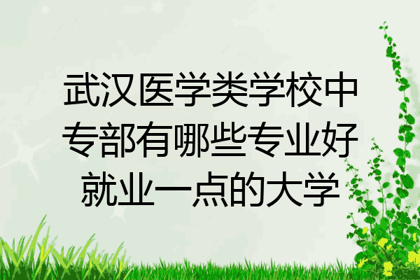 武汉医学类学校中专部有哪些专业好就业一点的大学