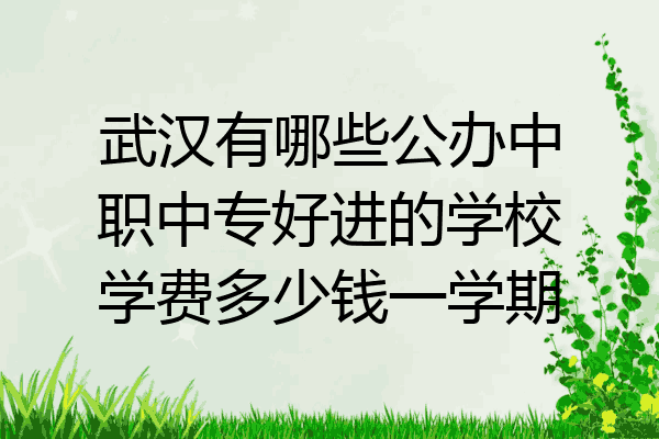 武汉有哪些公办中职中专好进的学校学费多少钱一学期