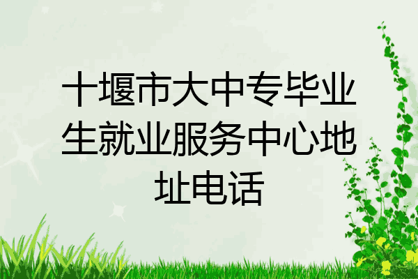 十堰市大中专毕业生就业服务中心地址电话