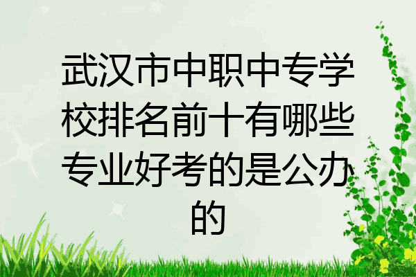武汉市中职中专学校排名前十有哪些专业好考的是公办的