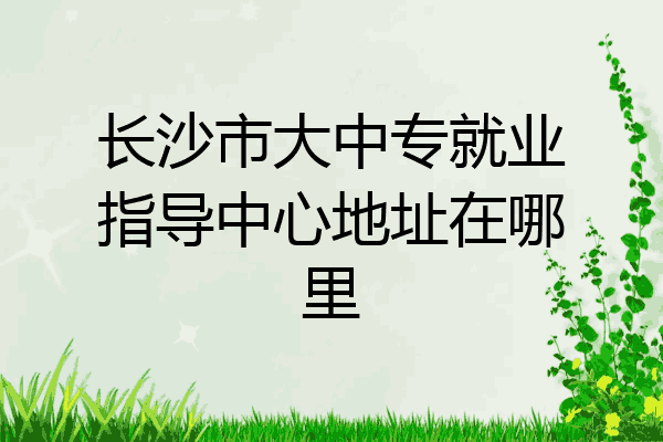 长沙市大中专就业指导中心地址在哪里