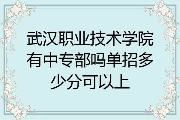 武汉职业技术学院有中专部吗单招多少分可以上