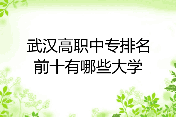 武汉高职中专排名前十有哪些大学