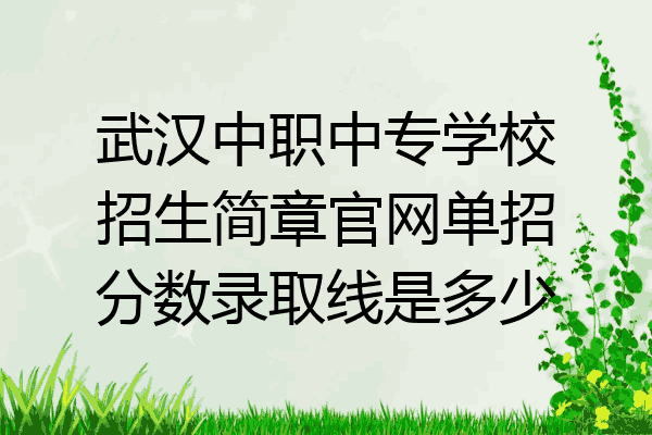 武汉中职中专学校招生简章官网单招分数录取线是多少