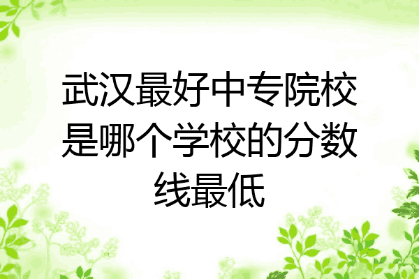 武汉最好中专院校是哪个学校的分数线最低
