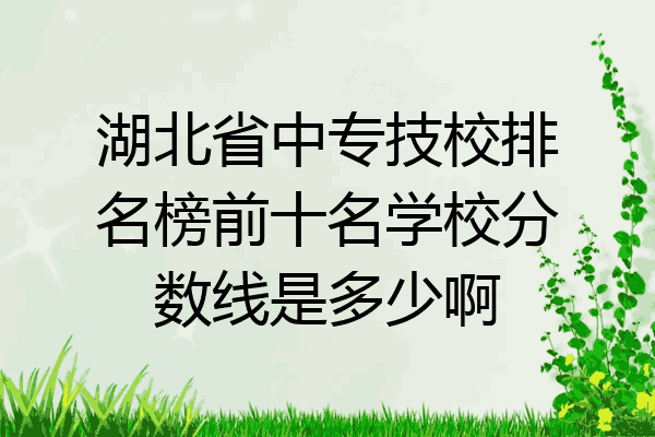 湖北省中专技校排名榜前十名学校分数线是多少啊