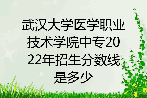 武汉大学医学职业技术学院中专2022年招生分数线是多少