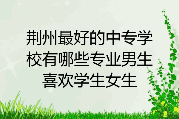 荆州最好的中专学校有哪些专业男生喜欢学生女生