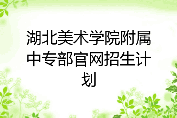 湖北美术学院附属中专部官网招生计划