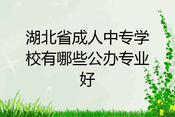 湖北省成人中专学校有哪些公办专业好