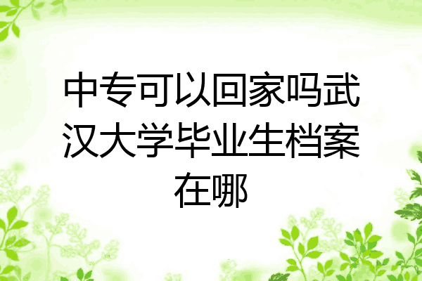 中专可以回家吗武汉大学毕业生档案在哪
