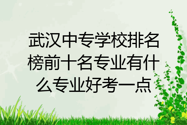 武汉中专学校排名榜前十名专业有什么专业好考一点