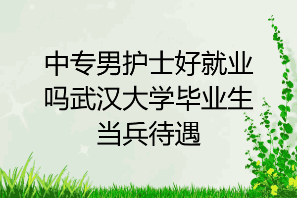 中专男护士好就业吗武汉大学毕业生当兵待遇