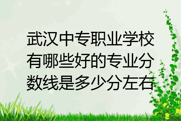 武汉中专职业学校有哪些好的专业分数线是多少分左右