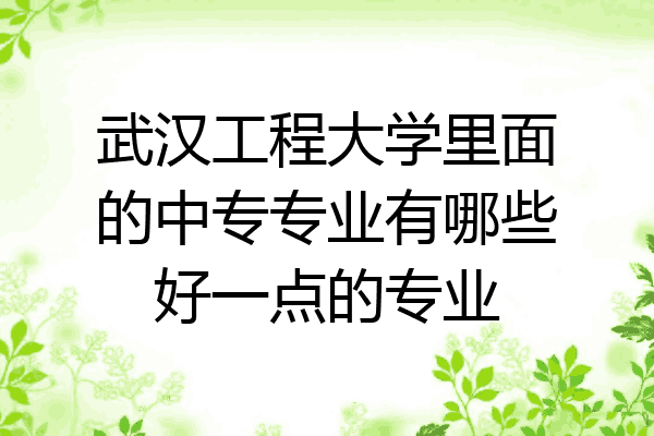 武汉工程大学里面的中专专业有哪些好一点的专业