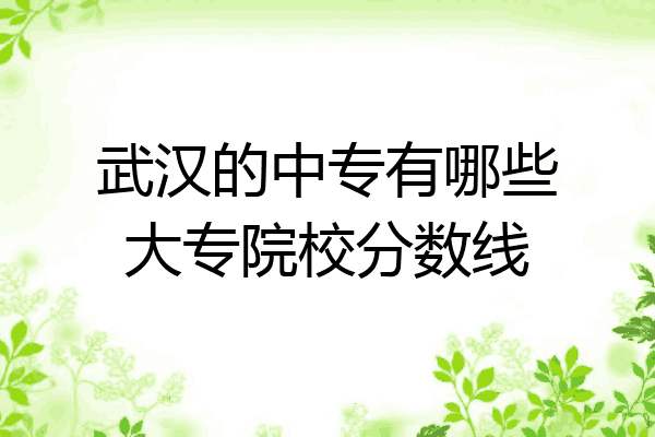 武汉的中专有哪些大专院校分数线