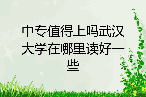 中专值得上吗武汉大学在哪里读好一些