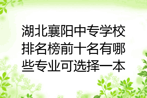 湖北襄阳中专学校排名榜前十名有哪些专业可选择一本