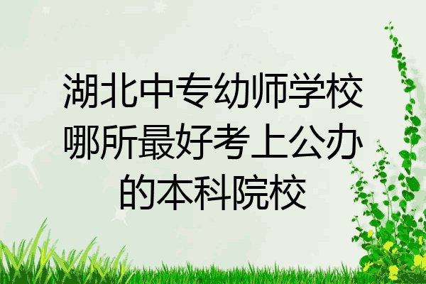 湖北中专幼师学校哪所最好考上公办的本科院校