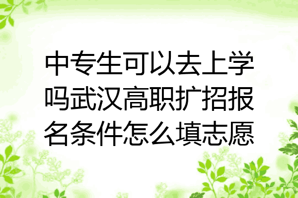 中专生可以去上学吗武汉高职扩招报名条件怎么填志愿
