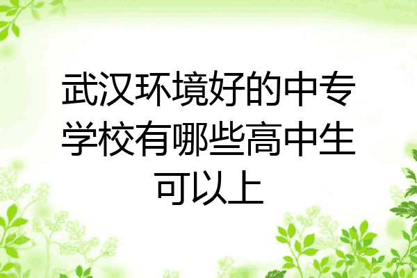 武汉环境好的中专学校有哪些高中生可以上