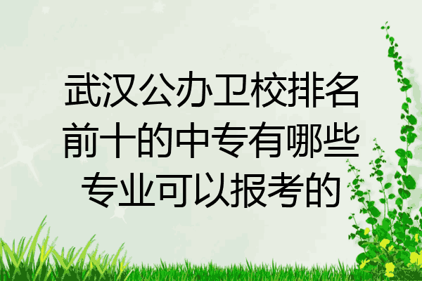 武汉公办卫校排名前十的中专有哪些专业可以报考的