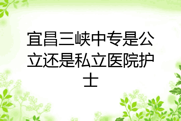 宜昌三峡中专是公立还是私立医院护士