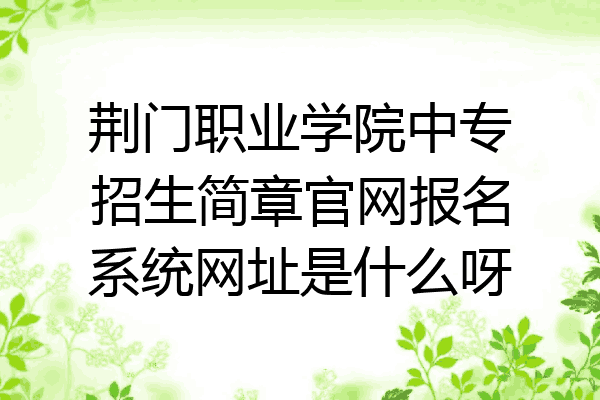 荆门职业学院中专招生简章官网报名系统网址是什么呀