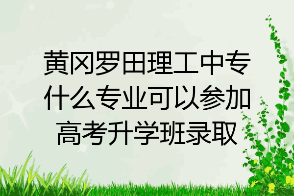 黄冈罗田理工中专什么专业可以参加高考升学班录取
