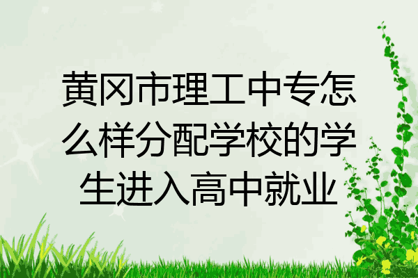 黄冈市理工中专怎么样分配学校的学生进入高中就业