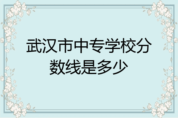 武汉市中专学校分数线是多少