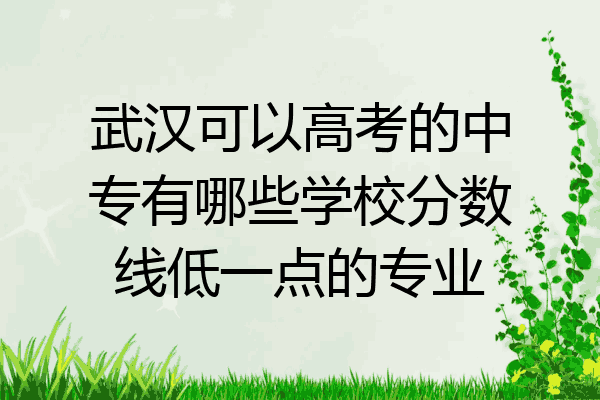 武汉可以高考的中专有哪些学校分数线低一点的专业