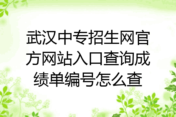武汉中专招生网官方网站入口查询成绩单编号怎么查