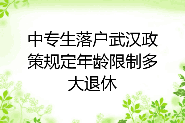 中专生落户武汉政策规定年龄限制多大退休