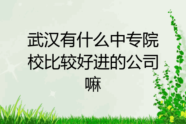 武汉有什么中专院校比较好进的公司嘛