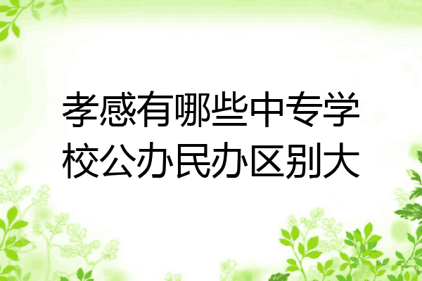 孝感有哪些中专学校公办民办区别大