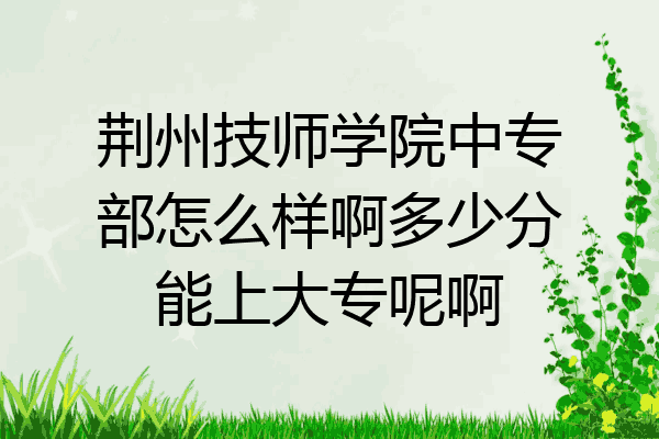 荆州技师学院中专部怎么样啊多少分能上大专呢啊