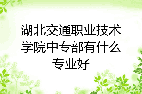 湖北交通职业技术学院中专部有什么专业好