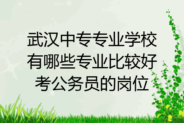 武汉中专专业学校有哪些专业比较好考公务员的岗位
