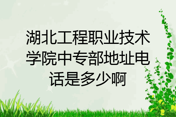湖北工程职业技术学院中专部地址电话是多少啊