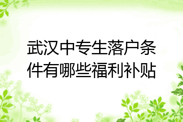 武汉中专生落户条件有哪些福利补贴