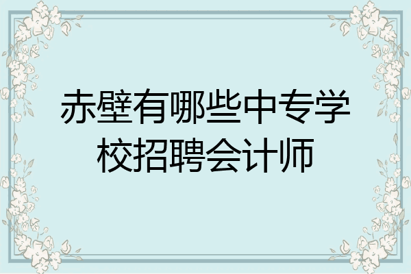 赤壁有哪些中专学校招聘会计师