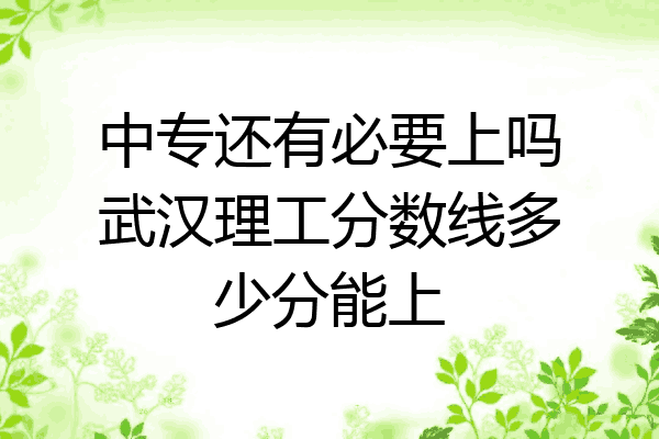 中专还有必要上吗武汉理工分数线多少分能上